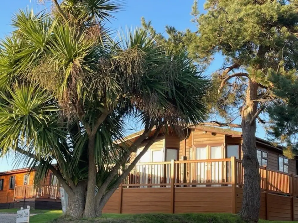 A wooden house with a balcony is partially obscured by large trees, under a clear blue sky, creating a serene, natural setting.