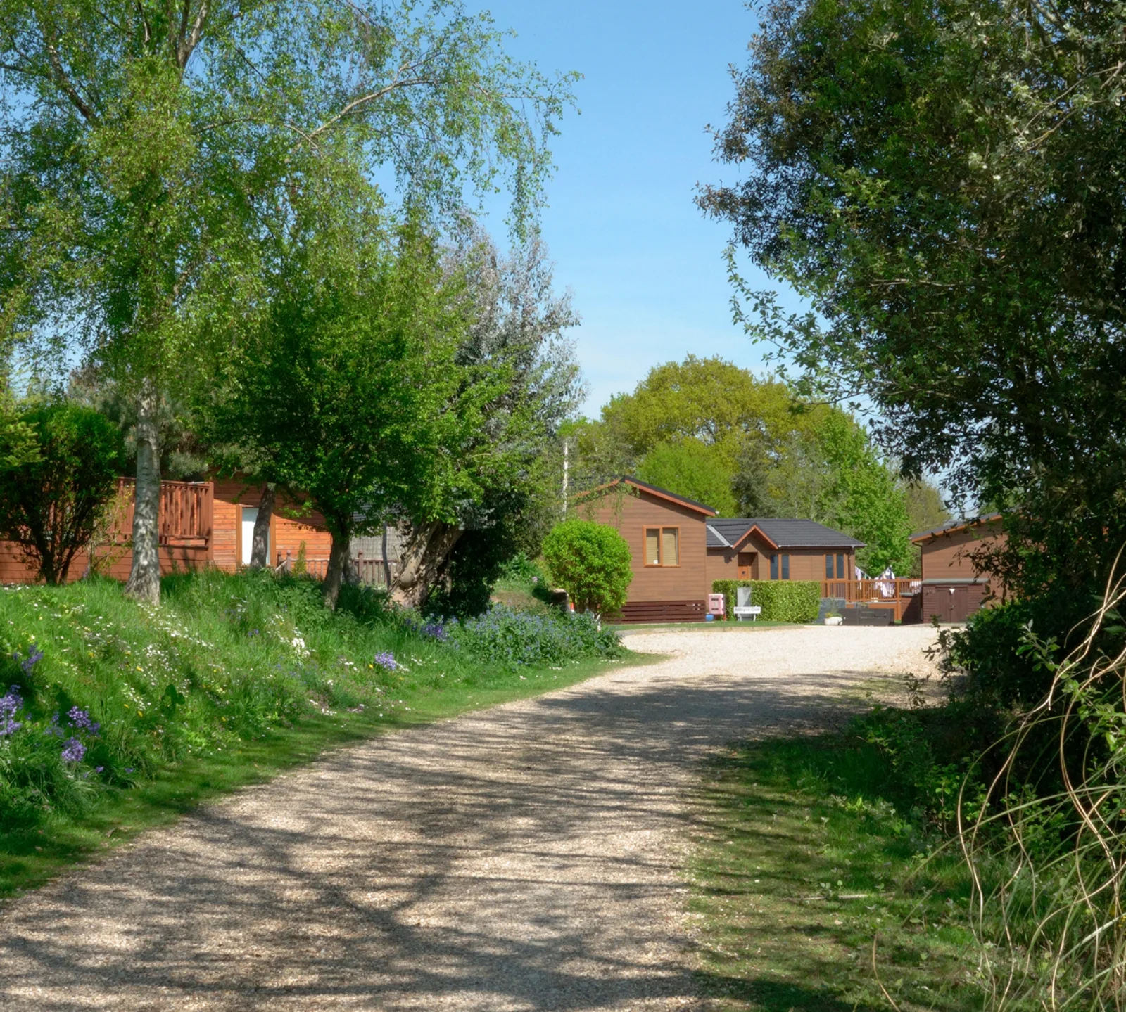 A gravel path leading to wooden houses, surrounded by greenery and trees, under a clear blue sky on a bright, sunny day.