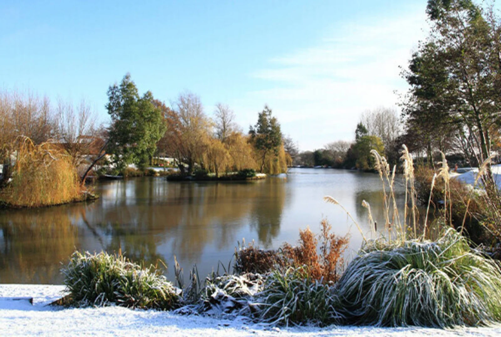 A serene river scene with leafless trees, green shrubs, and frosty plants along the snowy riverbank, under a clear blue sky.