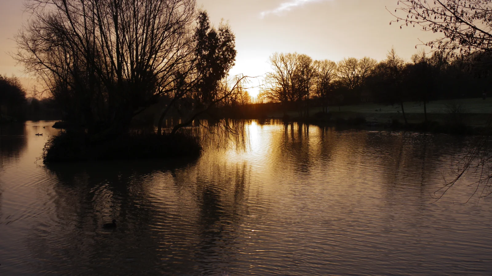 Sunset over a river with silhouetted trees on both sides, reflecting golden light on the water's surface, creating a peaceful and serene scene.