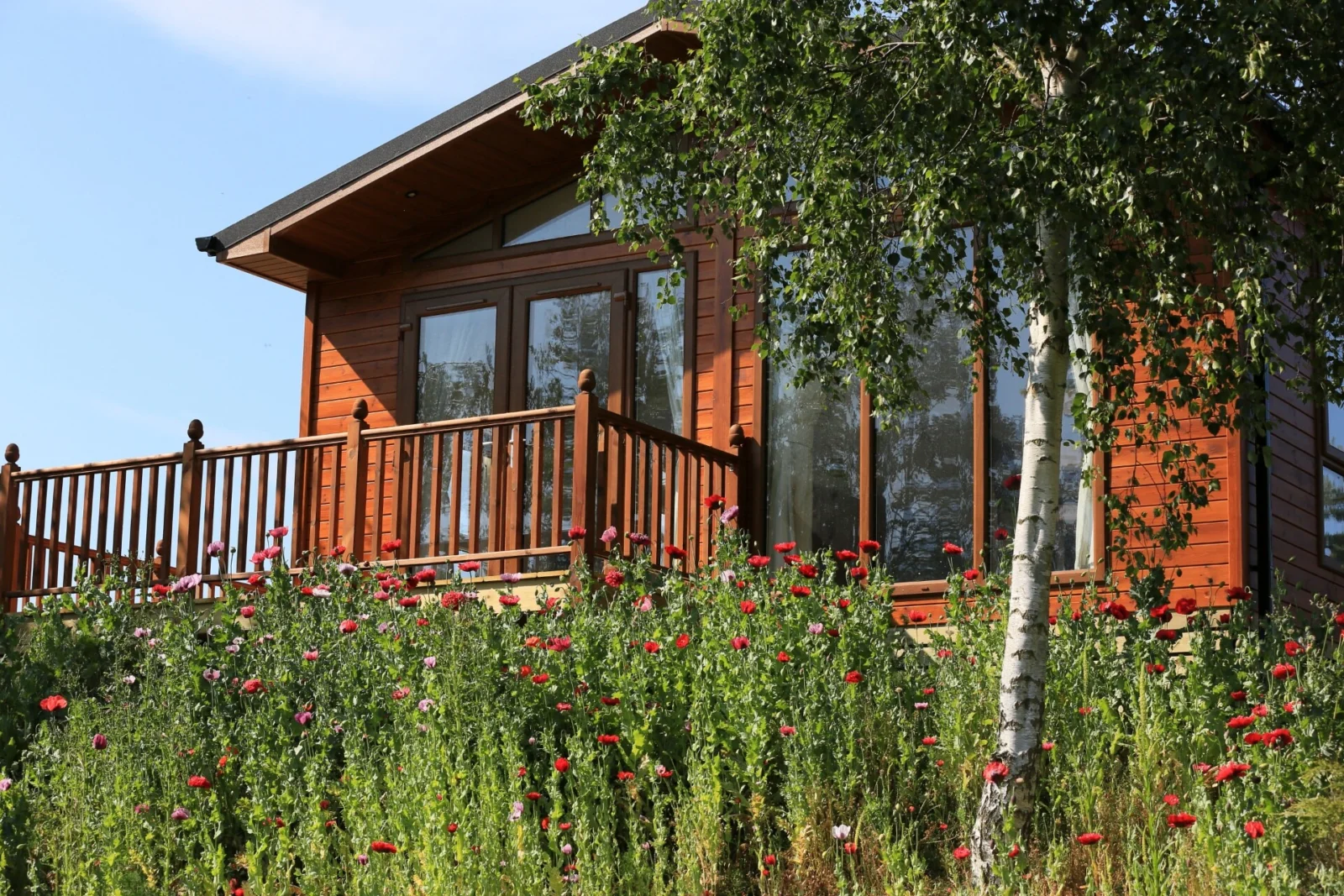 A wooden house with large windows, a balcony with a railing, surrounded by colorful flowers and a birch tree, under a clear blue sky.
