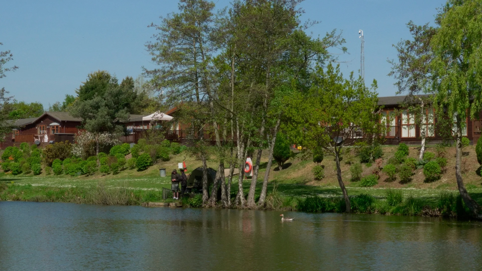 People fishing by a lake surrounded by trees and houses under a clear blue sky.