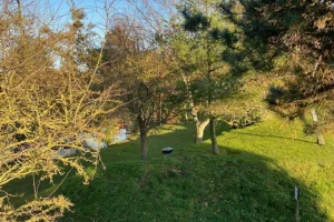 A landscaped park with a small hill, green grass, and various trees with autumn foliage, beside a water body under a clear blue sky.