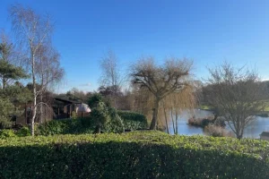 A peaceful lakeside scene with leafless trees, green bushes, and a clear blue sky reflected on calm water in the background.