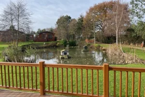View of a pond with birdhouses, surrounded by trees with autumn foliage, seen from a wooden deck in a peaceful, rural setting.