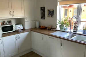 Kitchen counter with a microwave, toaster, bowl of oranges, plants, and decorative items by a window with a view of a wooden building.