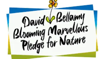 Dave bellamy