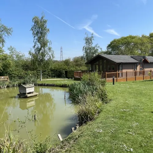 A peaceful garden scene with a pond, trees, a wooden house with a deck, and a clear blue sky.