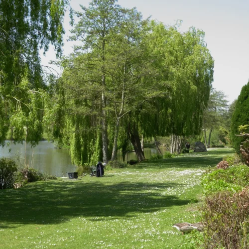 A peaceful riverside scene with lush green trees, a grassy bank, and ducks near the water on a sunny day.