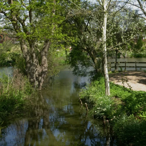 A peaceful river scene surrounded by lush green trees, with a footpath and bridge on the right, and residential buildings in the background.