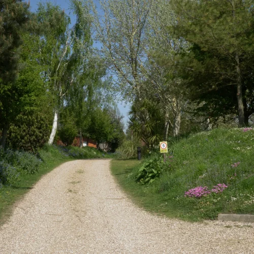 A gravel pathway winding through a lush, green garden with trees, colorful flowers, and a clear blue sky overhead.