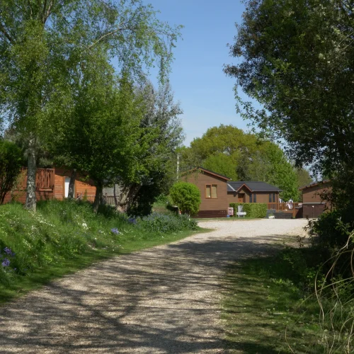 A gravel pathway curves through lush green trees and flowering plants toward small wooden houses under a clear blue sky.