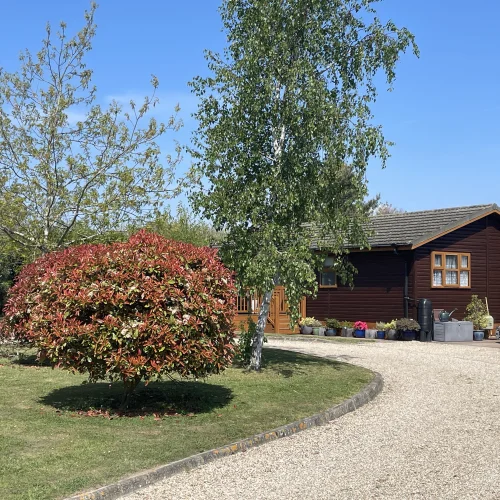 A gravel driveway curves past a vibrant red and green shrub, with a wooden house, parked car, and potted plants in the background under a blue sky.