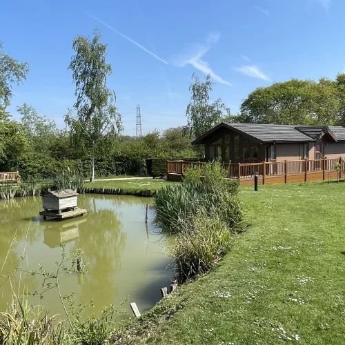 A peaceful garden scene with a pond, trees, a wooden house with a deck, and a clear blue sky.