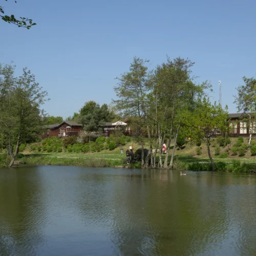 A peaceful lakeside scene with trees, houses, and a person fishing by the water on a sunny day.