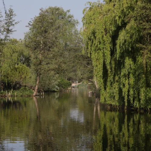 Calm river lined with lush green trees on both sides, reflecting their foliage on the water, under a clear sky.