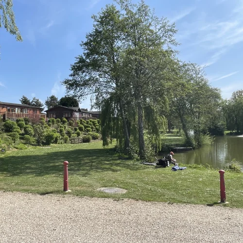 A person fishing by a river on a bright, sunny day with trees, houses, and a fountain in the background.