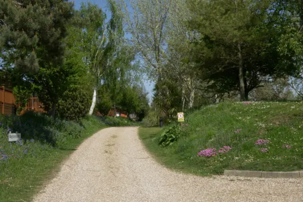 A gravel pathway winding through a lush, green garden with trees, colorful flowers, and a clear blue sky overhead.