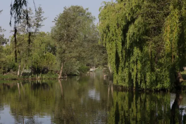 Calm river lined with lush green trees on both sides, reflecting their foliage on the water, under a clear sky.