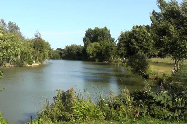 A peaceful river scene with lush green trees on both banks, calm water reflecting the clear blue sky, and dense vegetation in the foreground.