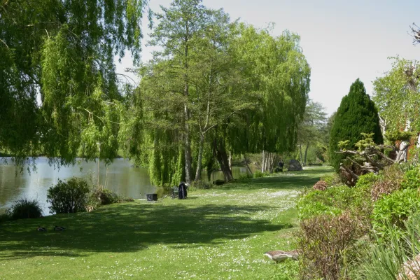 A peaceful riverside scene with lush green trees, a grassy bank, and ducks near the water on a sunny day.
