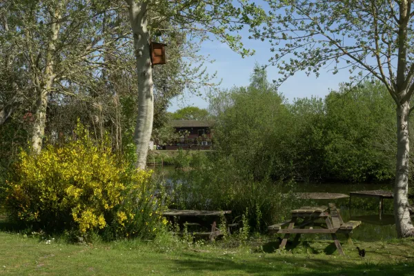 A peaceful riverside scene with trees, a wooden picnic table, and a house in the background, surrounded by greenery and blooming yellow flowers.