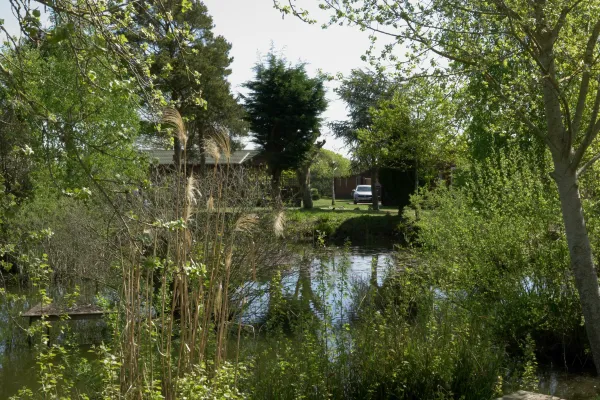 A peaceful backyard scene with a pond surrounded by lush green trees, bushes, and tall grasses, with a house, parked car, and pathway visible in the background.
