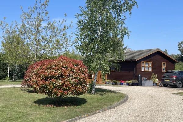 A gravel driveway curves past a vibrant red and green shrub, with a wooden house, parked car, and potted plants in the background under a blue sky.