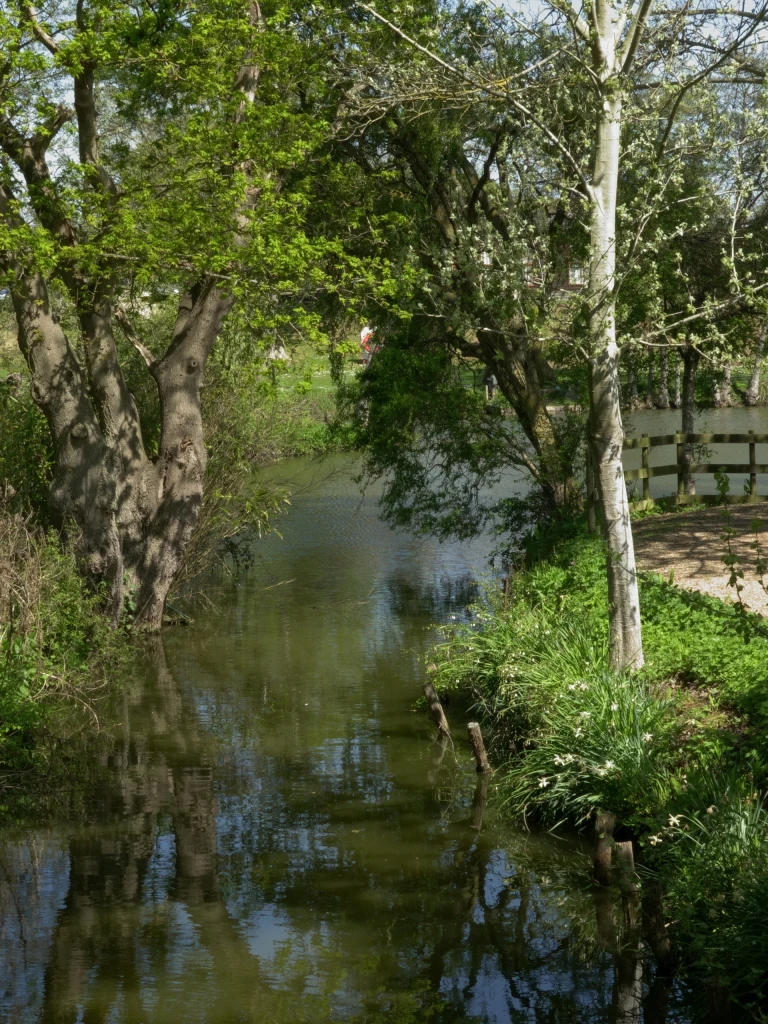 A peaceful river scene surrounded by lush green trees, with a footpath and bridge on the right, and residential buildings in the background.