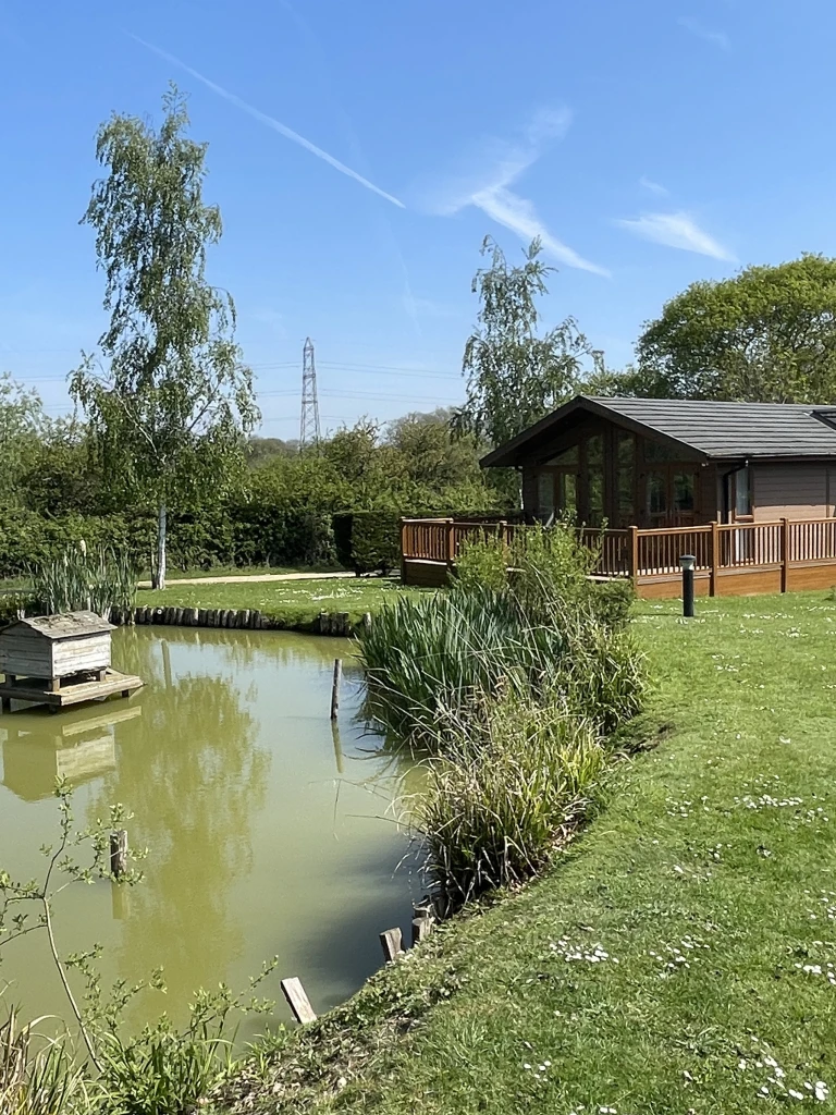 A peaceful garden scene with a pond, trees, a wooden house with a deck, and a clear blue sky.