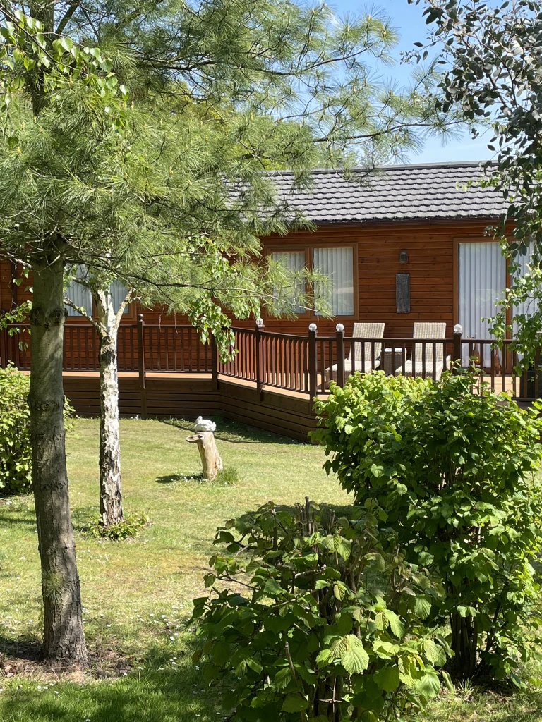 A backyard with a wooden house, a deck with patio furniture, surrounded by trees, bushes, and a grassy lawn on a sunny day.