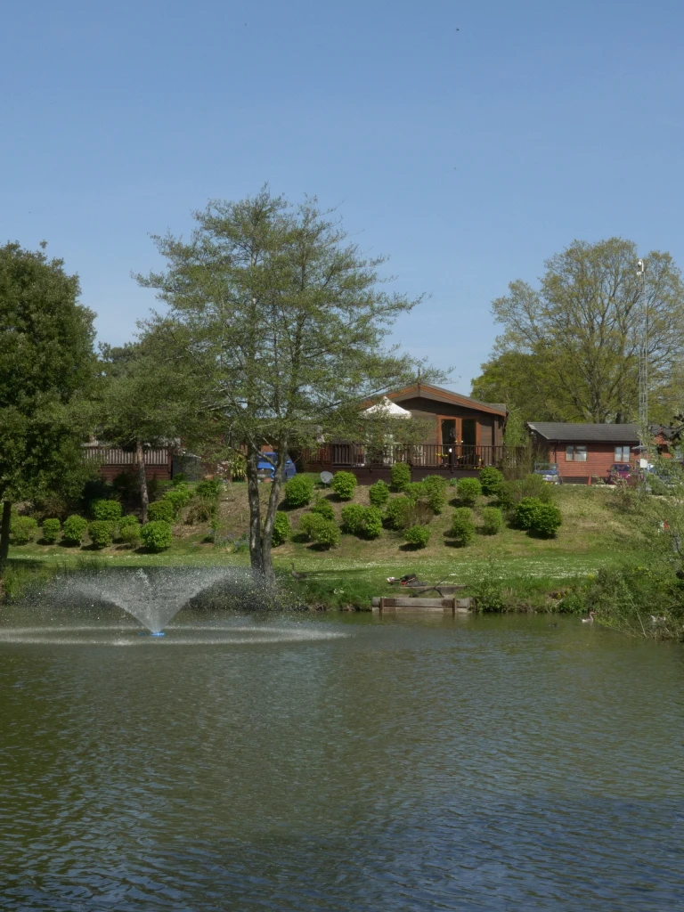 A peaceful lakeside scene with trees, a fountain in the water, and houses on a hill in the background under a clear blue sky.