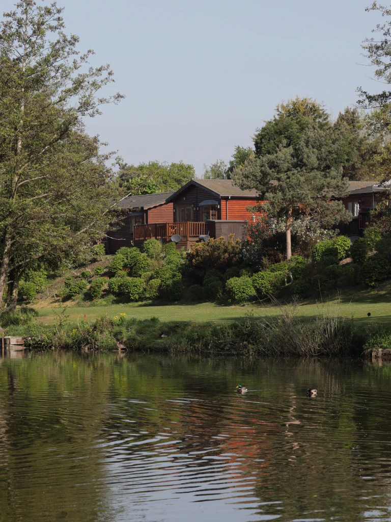 House with wooden exterior and balcony overlooking a pond, surrounded by trees and lush greenery, with ducks swimming in the water.