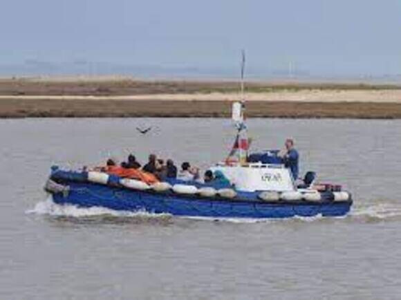 Walton-on-the-Naze Wildlife Boat Trips